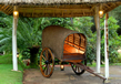 bullock-cart-safari4
