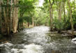 chinnar-wildlife-sanctuary3