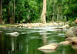 chinnar-wildlife-sanctuary4