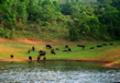 chinnar-wildlife-sanctuary5