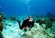 scuba-diving5