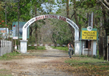 Manas Wildlife Sanctuary 1