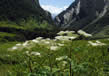 Nanda Devi And Valley Of Flowers National Parks 2